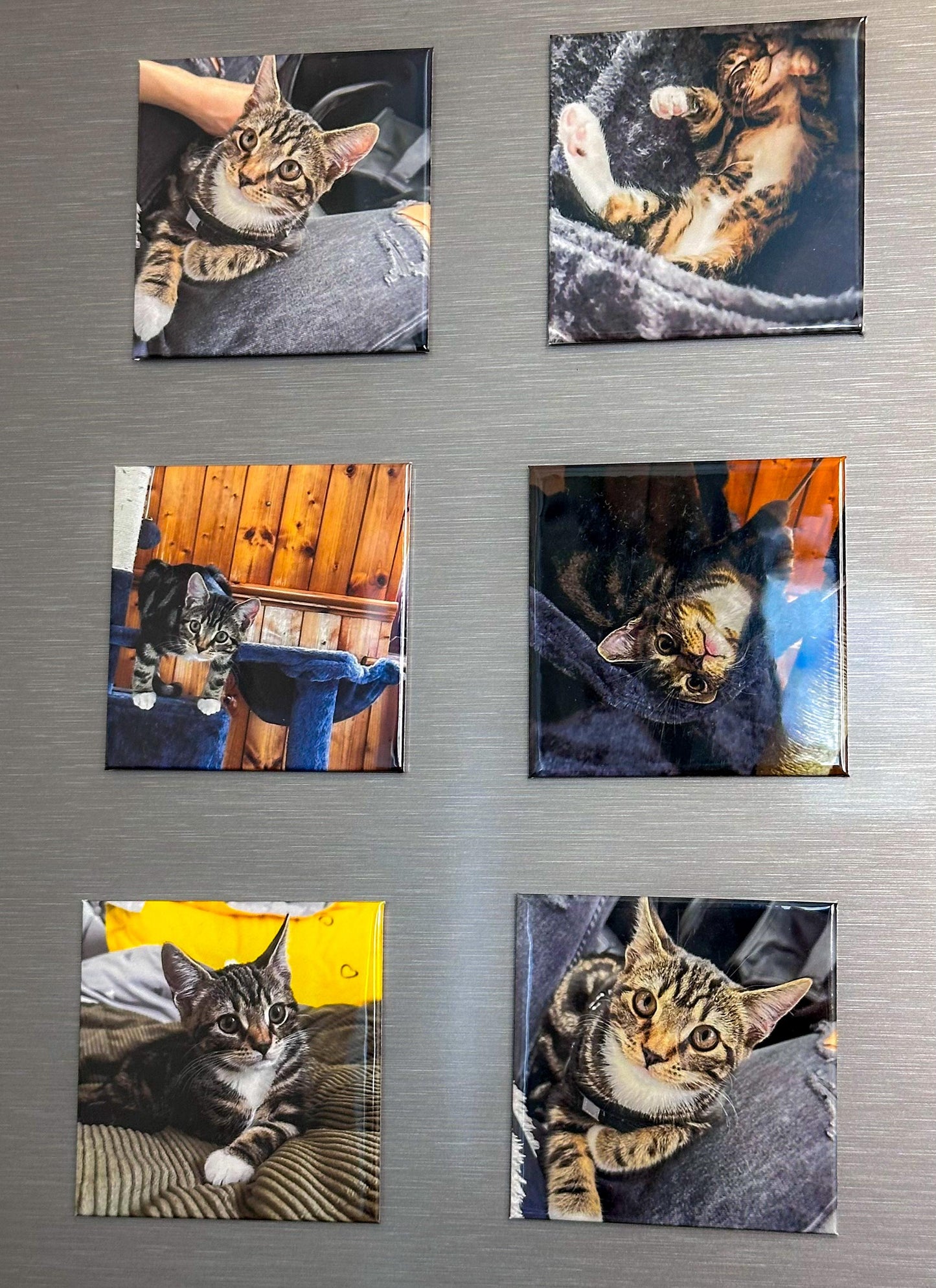 Fridge Magnet – 63×63mm Square